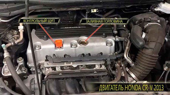 Схема расположения щупа и заливной горловины под капотом авто